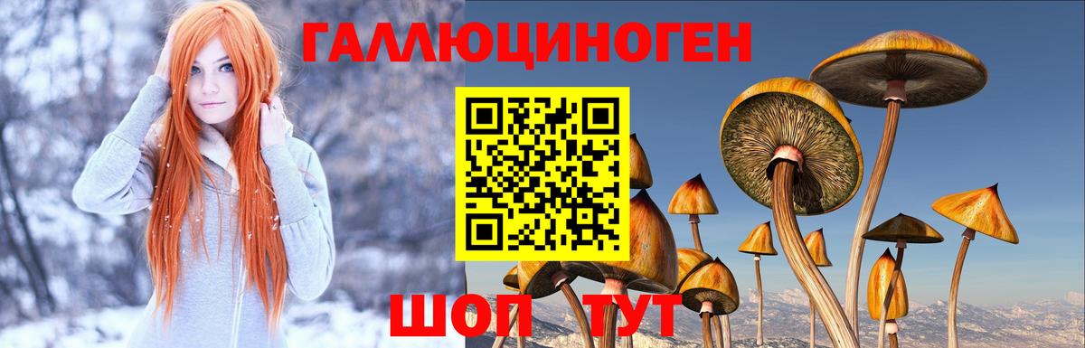 Лабытнанги  Галлюциногенные грибы MAGIC MUSHROOMS  Псилоцибиновые грибы мицелий  Вход с VPN 
